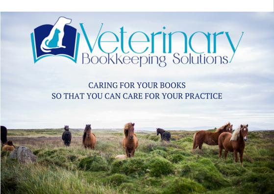 Veterinary Bookkeeping Solutions