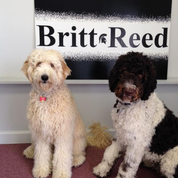 Britt-Reed Law Offices