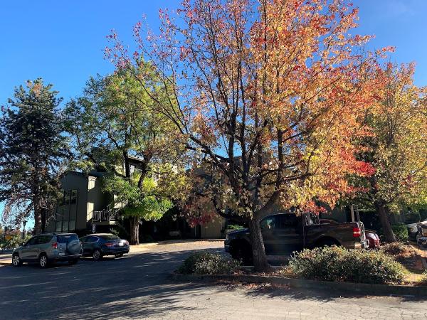 Eric Alan Berg and Associates