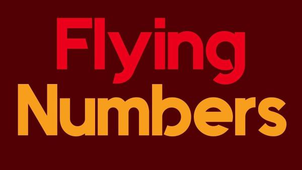 Flying Numbers