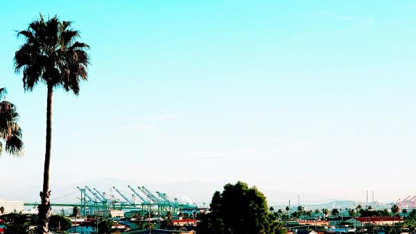 Law Office of Andrea R. Herman