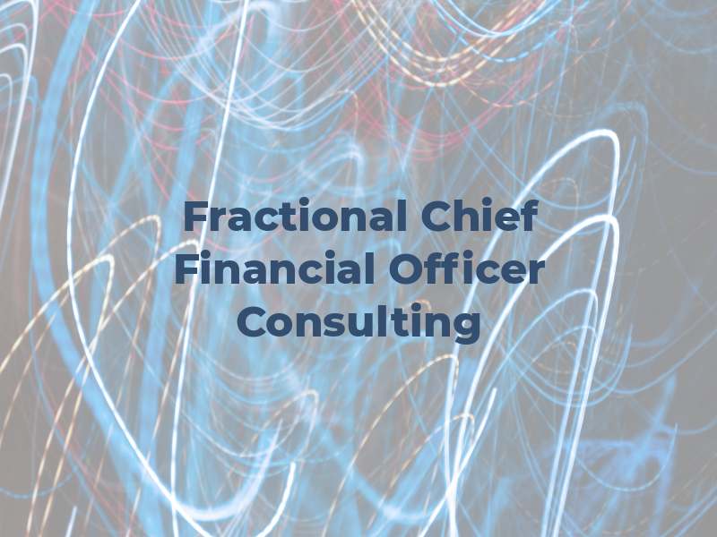 1 CFO - Fractional Chief Financial Officer Consulting