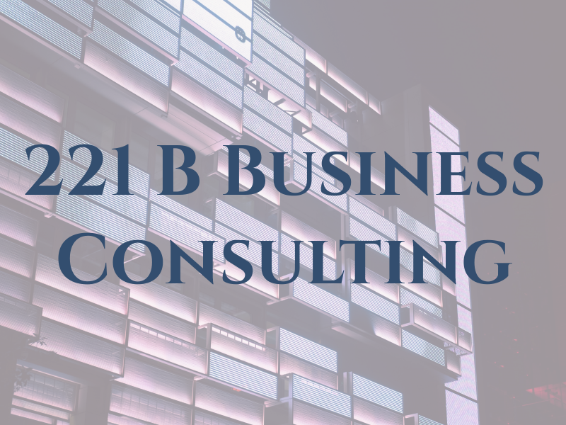 221 B Business Consulting