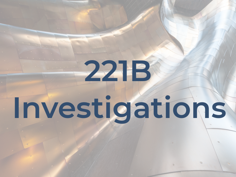 221B Investigations