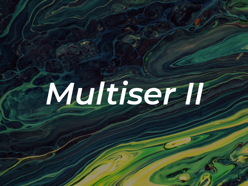 Multiser II