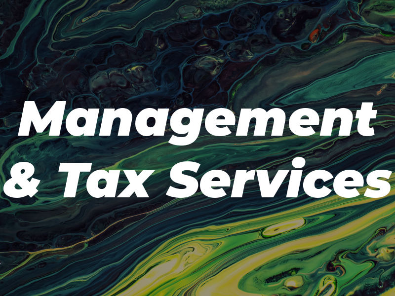 Management & Tax Services