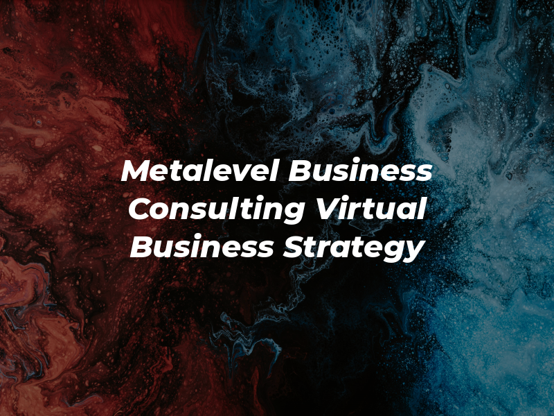 Metalevel Business Consulting - Virtual Business Strategy