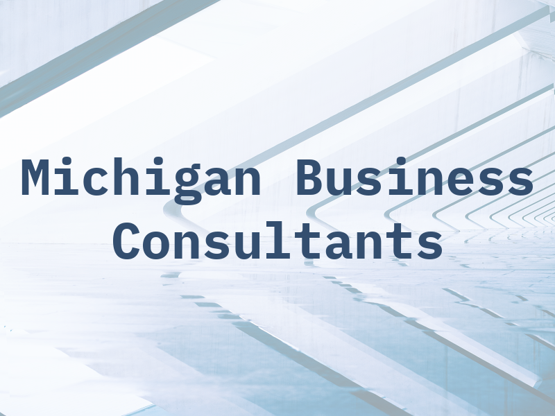 Michigan Business Consultants