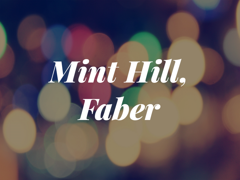 Mint Hill, NC CPA / Sue Faber CPA