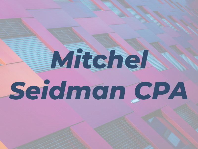 Mitchel Seidman CPA