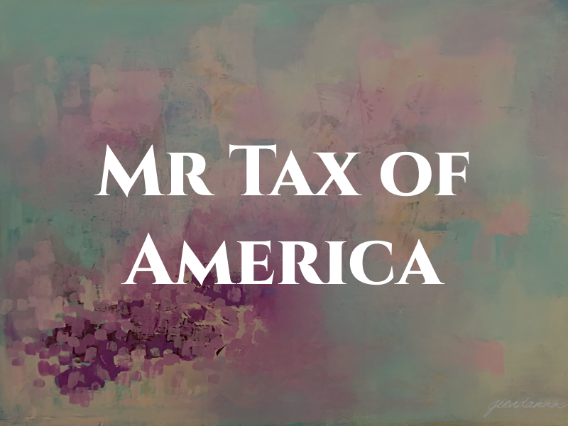 Mr Tax of America
