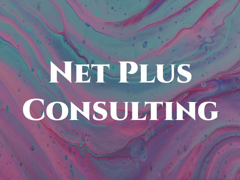 Net Plus Consulting