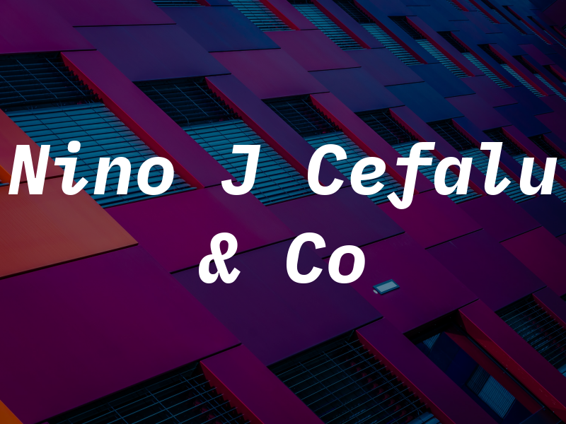 Nino J Cefalu & Co