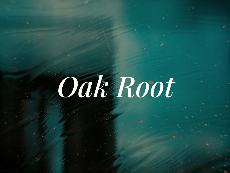 Oak Root