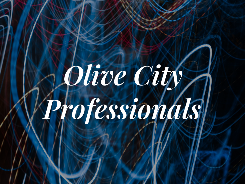 Olive City Tax Professionals