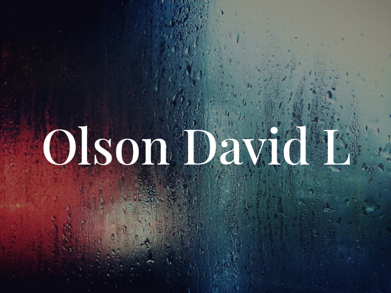 Olson David L