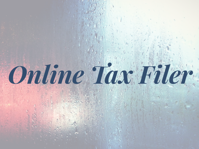 Online Tax Filer