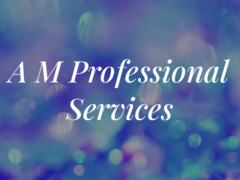 A M Professional Services