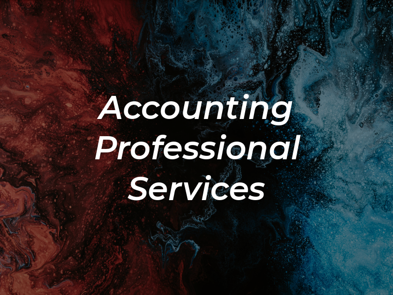 Accounting Professional Services