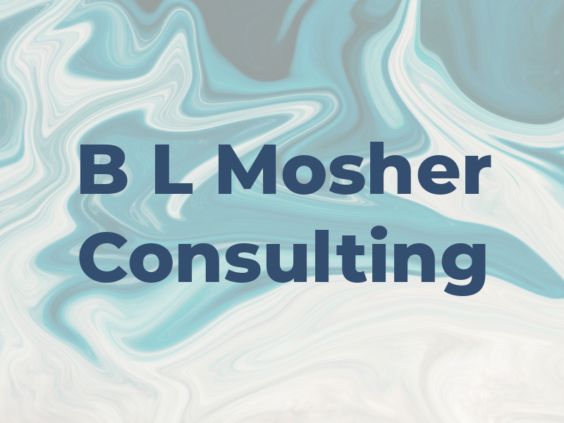 B L Mosher Consulting