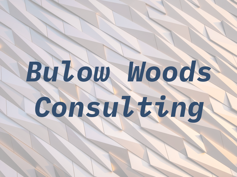 Bulow Woods Consulting