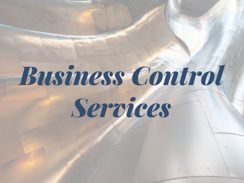 Business Control Services