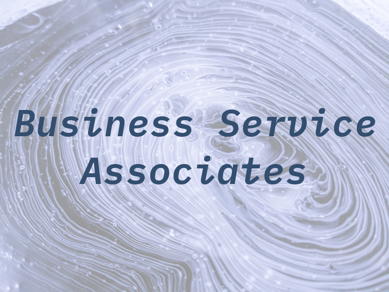 Business Service Co & Associates