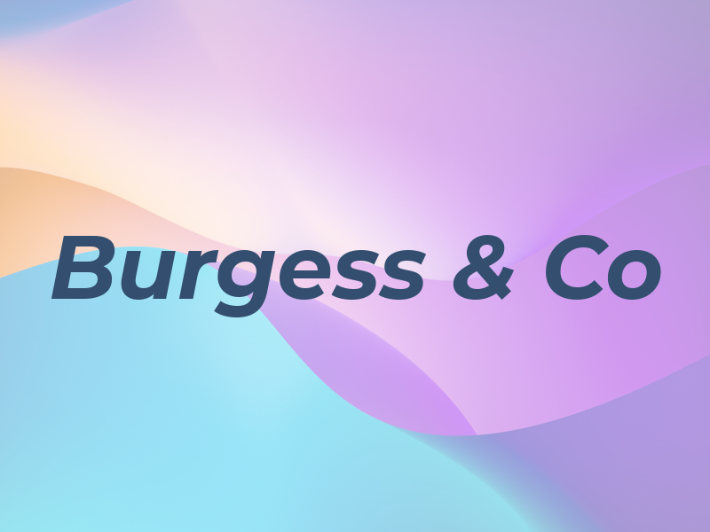 Burgess & Co