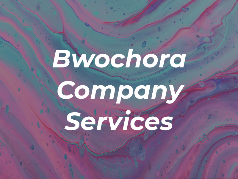 Bwochora & Company Tax Services