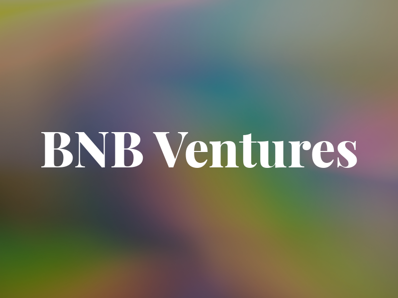 BNB Ventures
