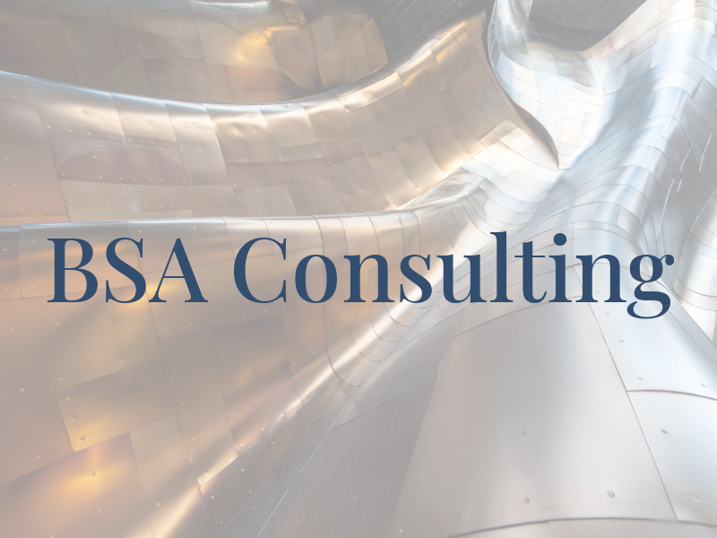 BSA Consulting