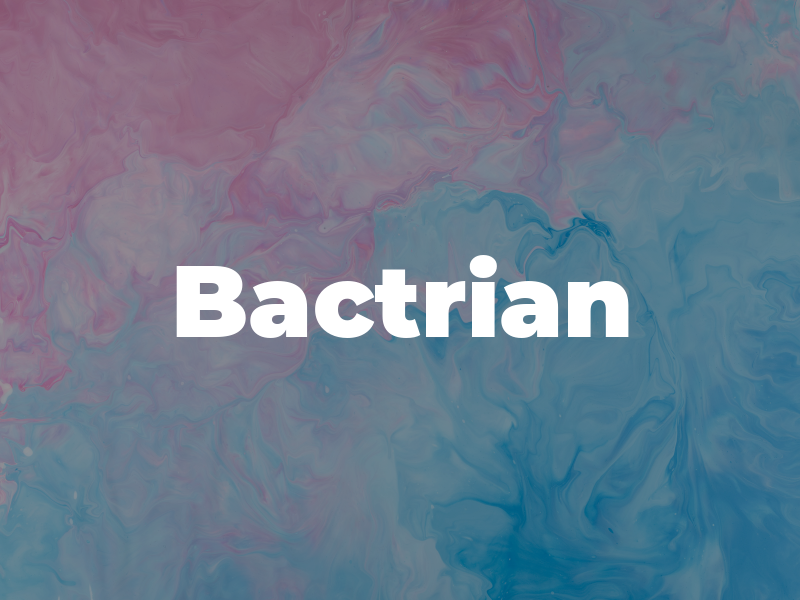 Bactrian