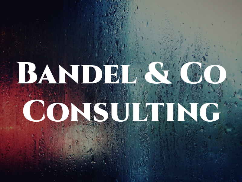 Bandel & Co Consulting