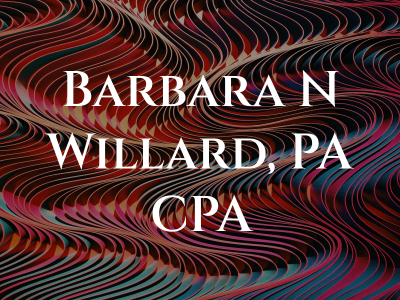 Barbara N Willard, PA CPA