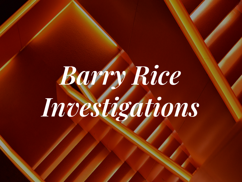 Barry L Rice Investigations