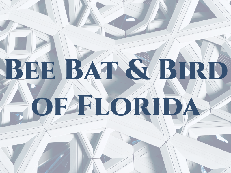 Bee Bat & Bird of Florida