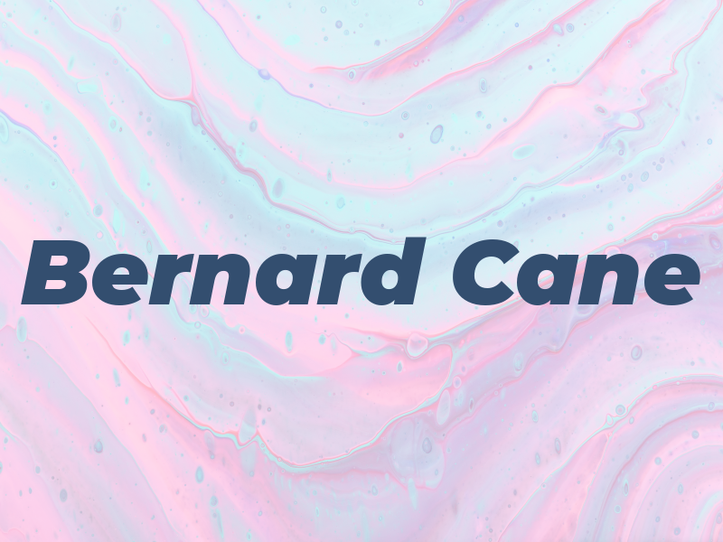Bernard Cane