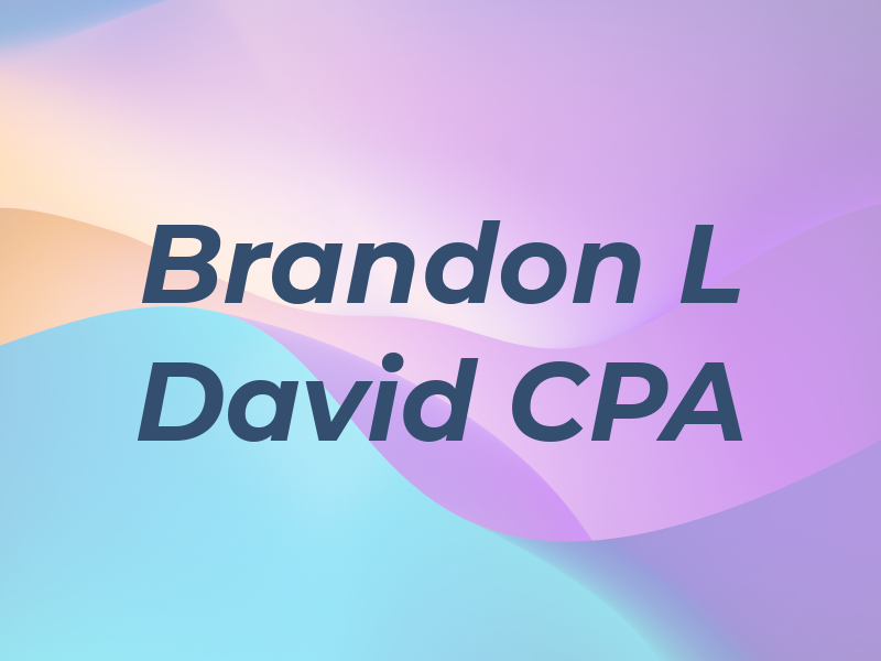 Brandon L David CPA