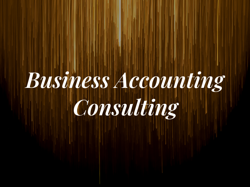 CPA Business Accounting & Consulting