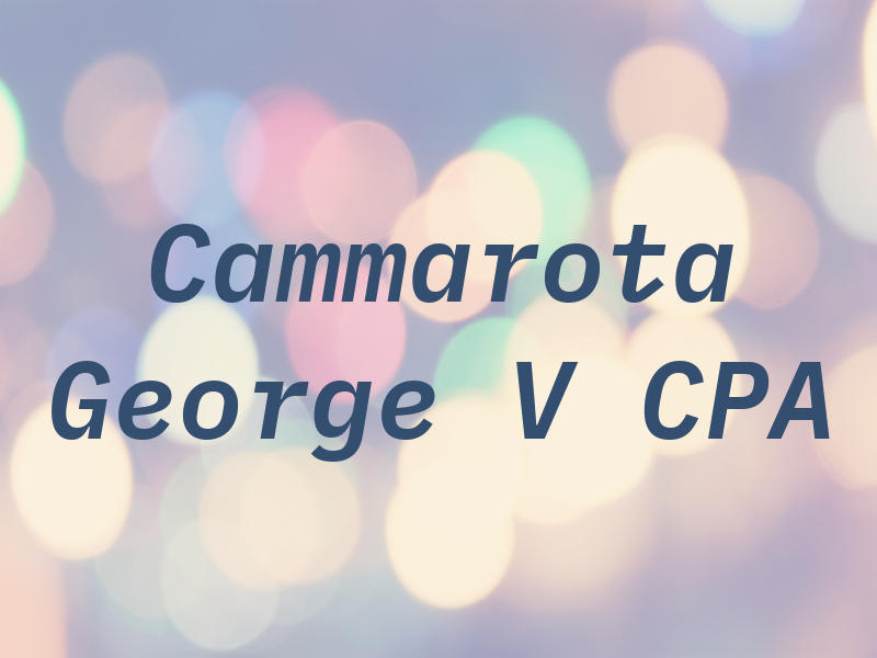 Cammarota George V CPA