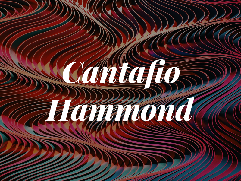 Cantafio Hammond