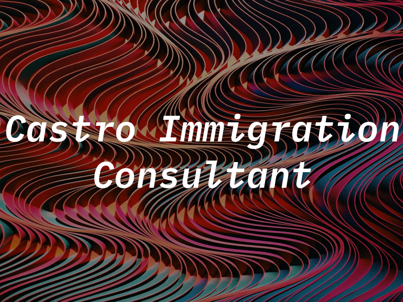 Castro Immigration Consultant