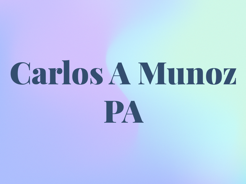 Carlos A Munoz PA