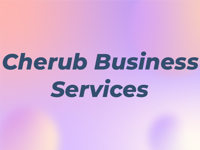 Cherub Business Services
