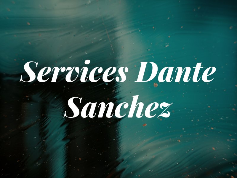 DS Services - Dante Sanchez