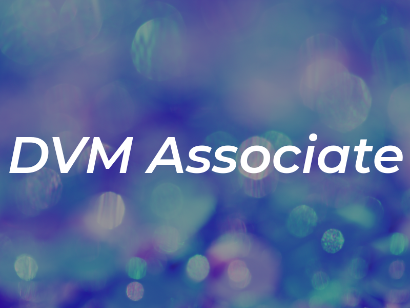 DVM Associate