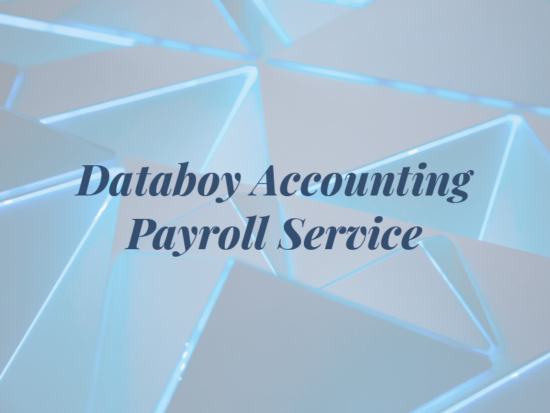 Databoy Accounting & Payroll Service