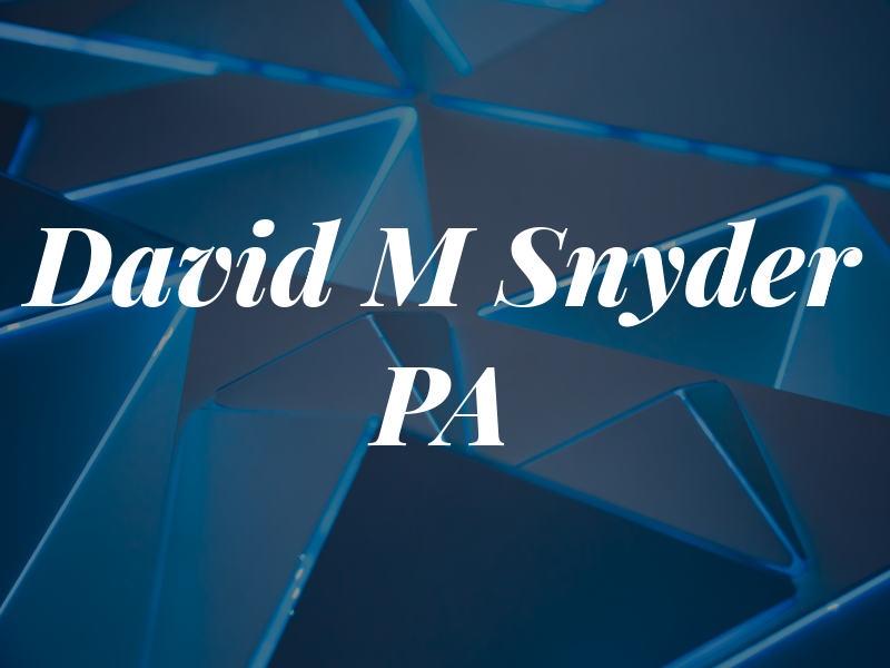 David M Snyder PA