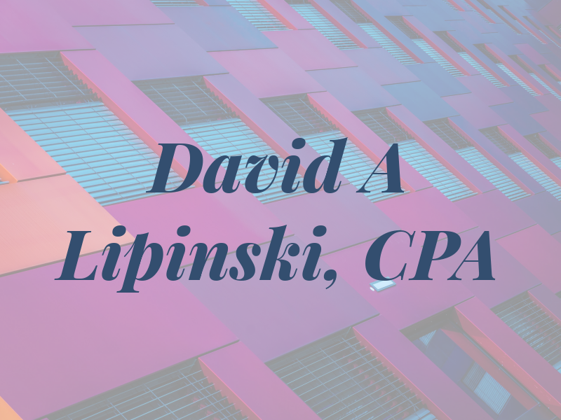 David A Lipinski, CPA