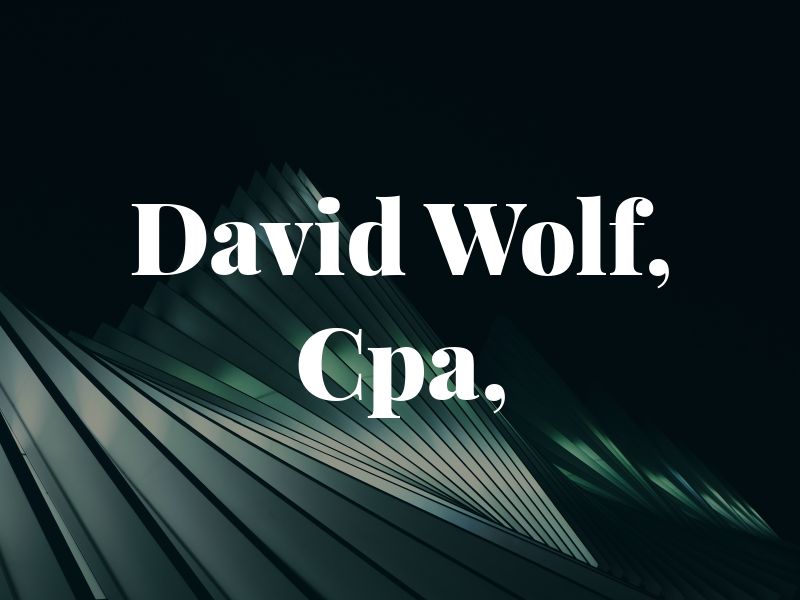 David L. Wolf, Cpa, PA